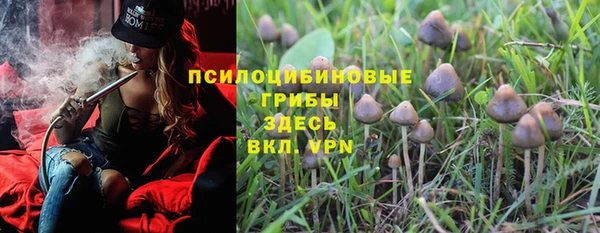 2c-b Кедровый