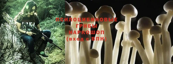 марихуана Абаза