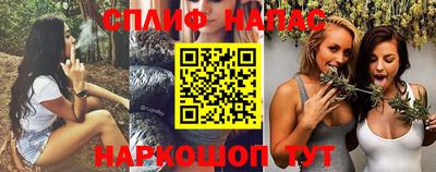 спиды Бердск