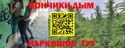 спиды Бердск