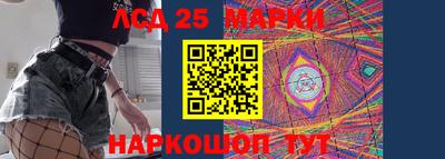 спиды Бердск
