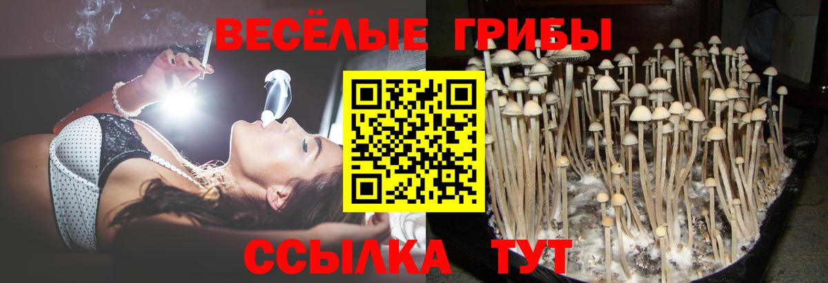 сколько стоит  Вход с VPN  Карталы  Галлюциногенные грибы мицелий 