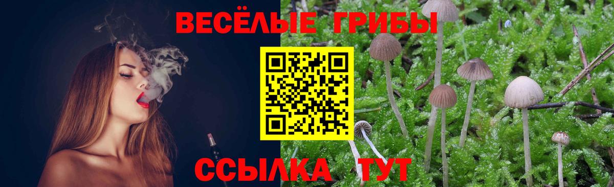 Псилоцибиновые грибы Psilocybine cubensis Карталы